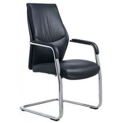 Silla Ejecutiva Paoli Visita